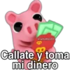 Cerdito Cute Toxico 26