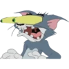 Tom y Jerry 28