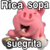 Cerdito Cute Toxico 27