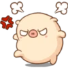 Mini pig 20