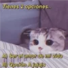Para Enamorar A Tu Crush 29