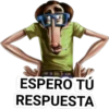 STICKERS MIX CLÁSICA 29