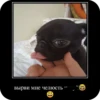 Very funny stickers 30