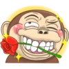 mr monkey 1 5