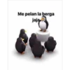 Momazos 1.10 súper  prros Alv 8