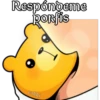 osito cariñosito 5