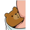 osito cariñosito 8