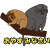 japan monkey 5