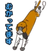 japan monkey 6