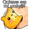 osito cariñosito 9