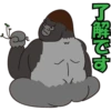 japan monkey 8