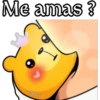 osito cariñosito 13