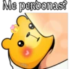 osito cariñosito 14