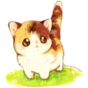 Miau Chat 13