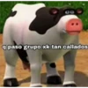 q paso grupo xk tan callados