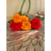 10/2/2021 17