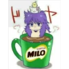 크
SCORPION
MILO