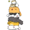 Miau Chat 14