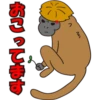 japan monkey 9