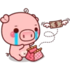 Pigma (Classic) 15
