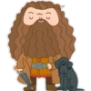 watc
()
( )