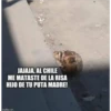 Calacas  chidas 15