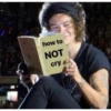 Harry Styles 2 15