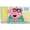 Se dice gracias
maldita cerda malagradecida