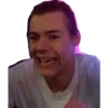 Harry styles 14