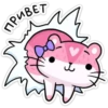 Moxnta pink 8