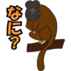 japan monkey 12
