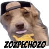 @balloletus
ZOZPECHOZO