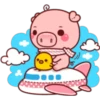 Pigma (Classic) 21