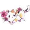 Miau Chat 20
