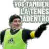 Variadasmania I 12