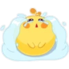 U