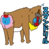 japan monkey 14