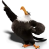 angry birds 10