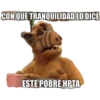 Variados 17