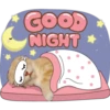 GOOD
NIGHT