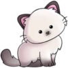 Miau Chat 21