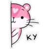 KY