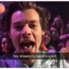 hey streaks my penis is erect