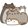 Miau Chat 22