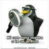 Momazos 1.10 súper  prros Alv 27
