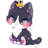 Miau Chat 24