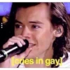 Teries in gay