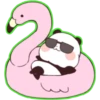 pandas 24