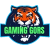 GAMING'GORS