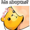 osito cariñosito 23